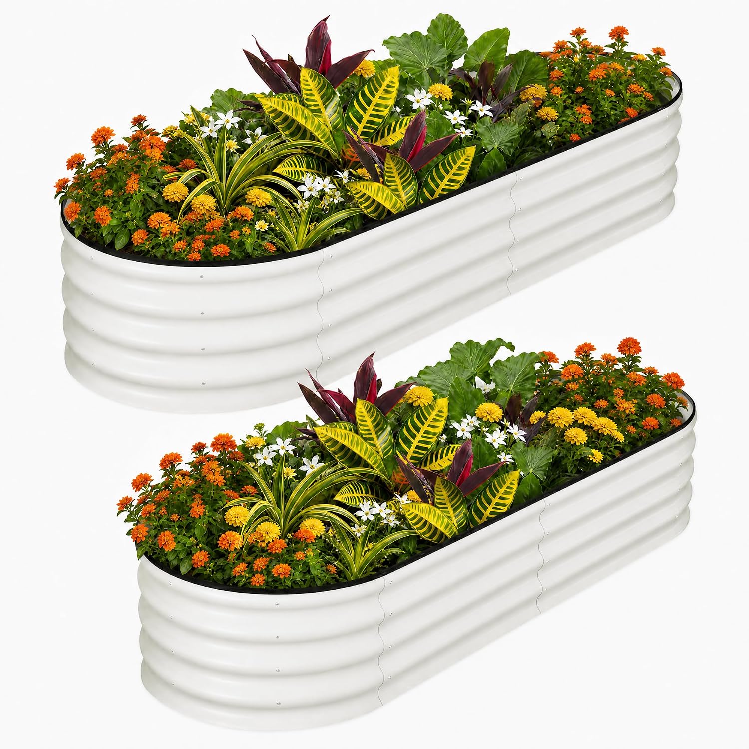 Planter Raised Metal - Tacleekii 6X3X1FT Ovale Verzinkte Hochbeete 2er-Pack