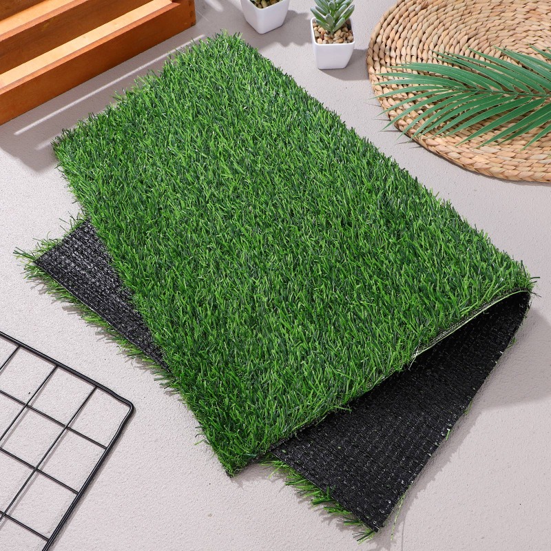 Rutschfeste künstliche Gras-Tü – Outdoor Rug Waterproof Bewertung und Preis