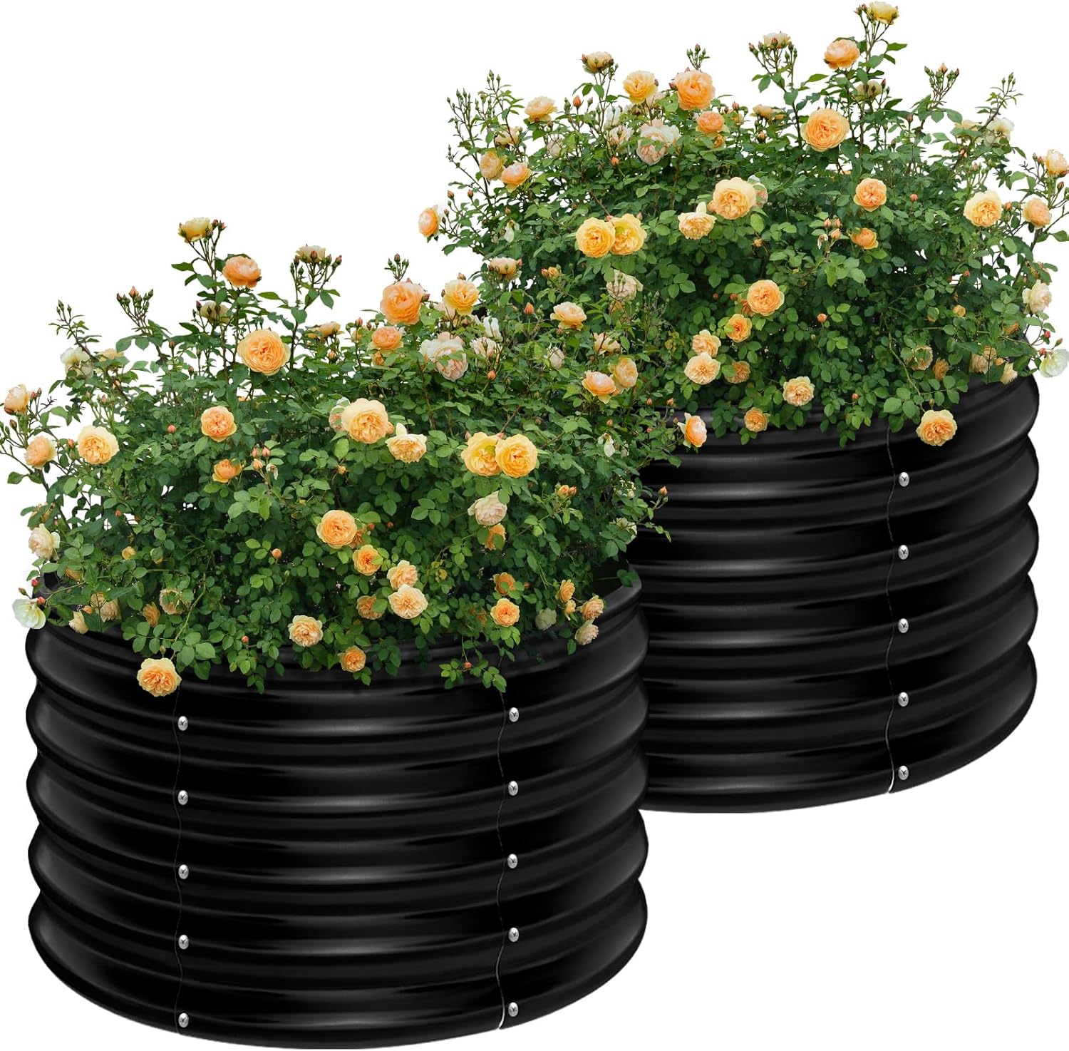 2er-Pack 2x2x1,5ft Runde Verzi – Planter Raised Metal Bewertung und Preis