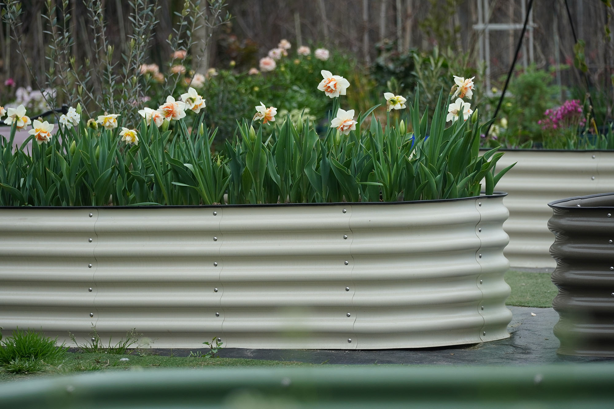 Großes Verzinktes Hochbeet-Set – Planter Raised Metal Bewertung und Preis